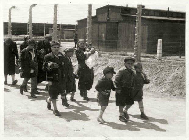 OŚWIĘCIM filmy chomikuj - The__Auschwitz_Album_23.jpg