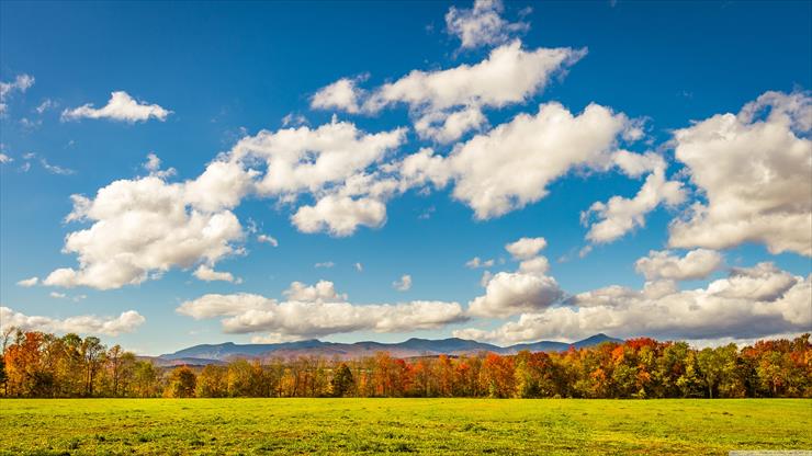 4K - autumn_fall_landscape_blue_sky_clouds_forest_woods-wallpaper-3840x2160.jpg