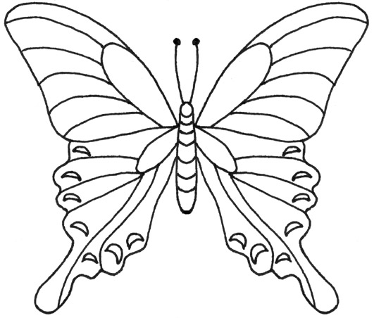 Motyle gąsienice - motyle - kolorowanka 114.gif