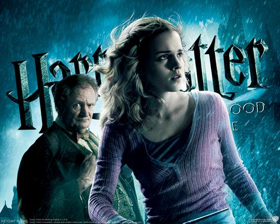 Harry Potter - Harry Potter and the Half Blood Prince_1280x1024 13.jpg