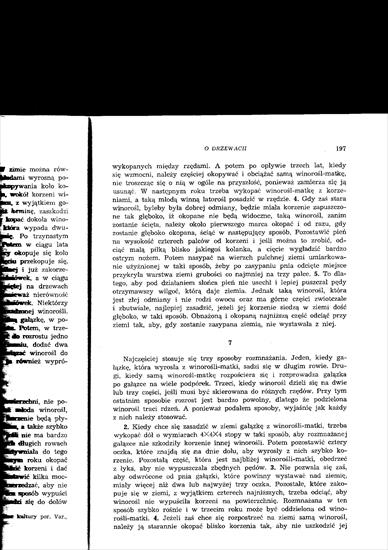 Kolumella - O rolnictwie tom II, Księga o drzewach - Kolumella II 194.jpg