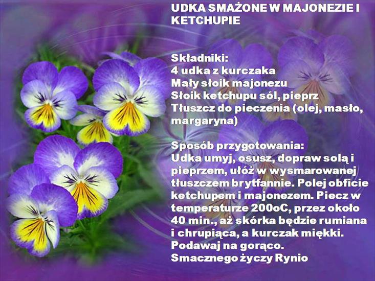 Przepisy - Udka smażone w majonezie i ketchupie.jpg