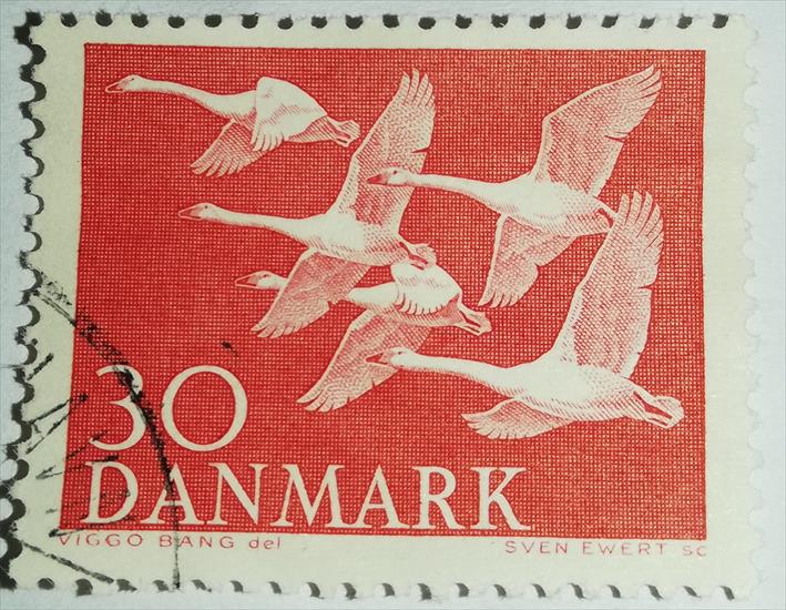 Danmark_Dania - 002.jpg